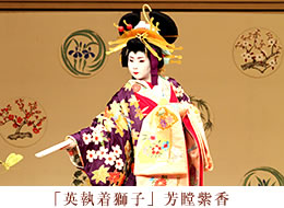 英執着獅子　芳瞠紫香