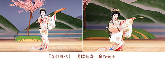 春の調べ　芳瞠菊寿　泉谷充子