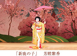 新鹿の子　芳瞠紫香