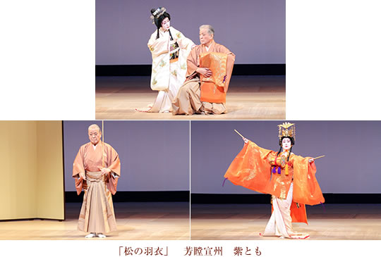 松の羽衣　芳瞠宣州　紫とも